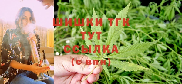 дмт Аркадак