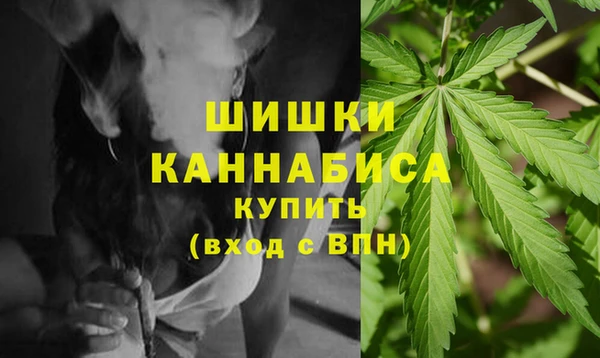 ГАЛЛЮЦИНОГЕННЫЕ ГРИБЫ Арсеньев