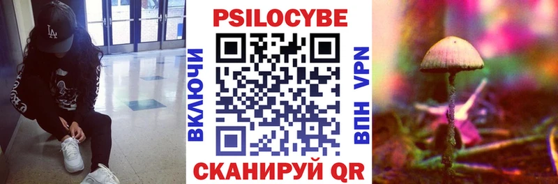 где продают   Белая Холуница  blacksprut ТОР  Псилоцибиновые грибы Magic Shrooms 